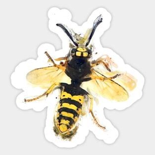 Wasp art #wasp Sticker